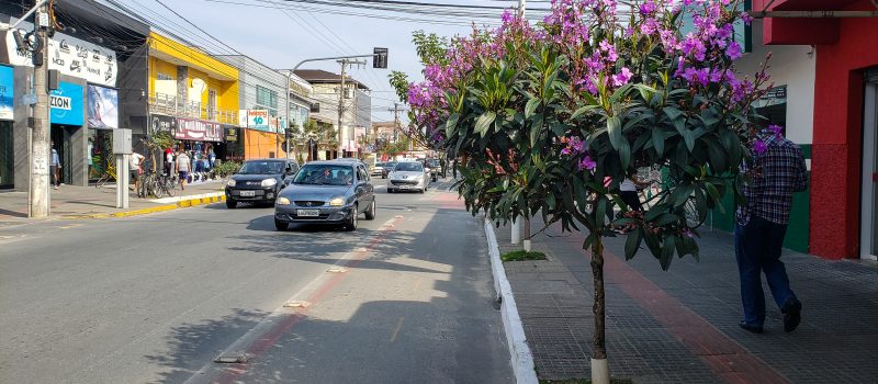 Razões para morar no São Vicente